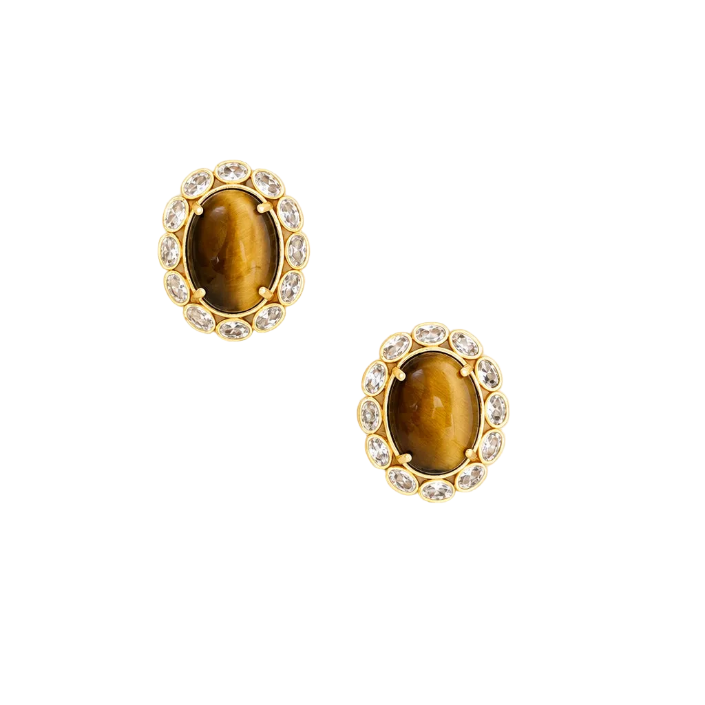 Golden Gaze Tiger’s Eye Earrings